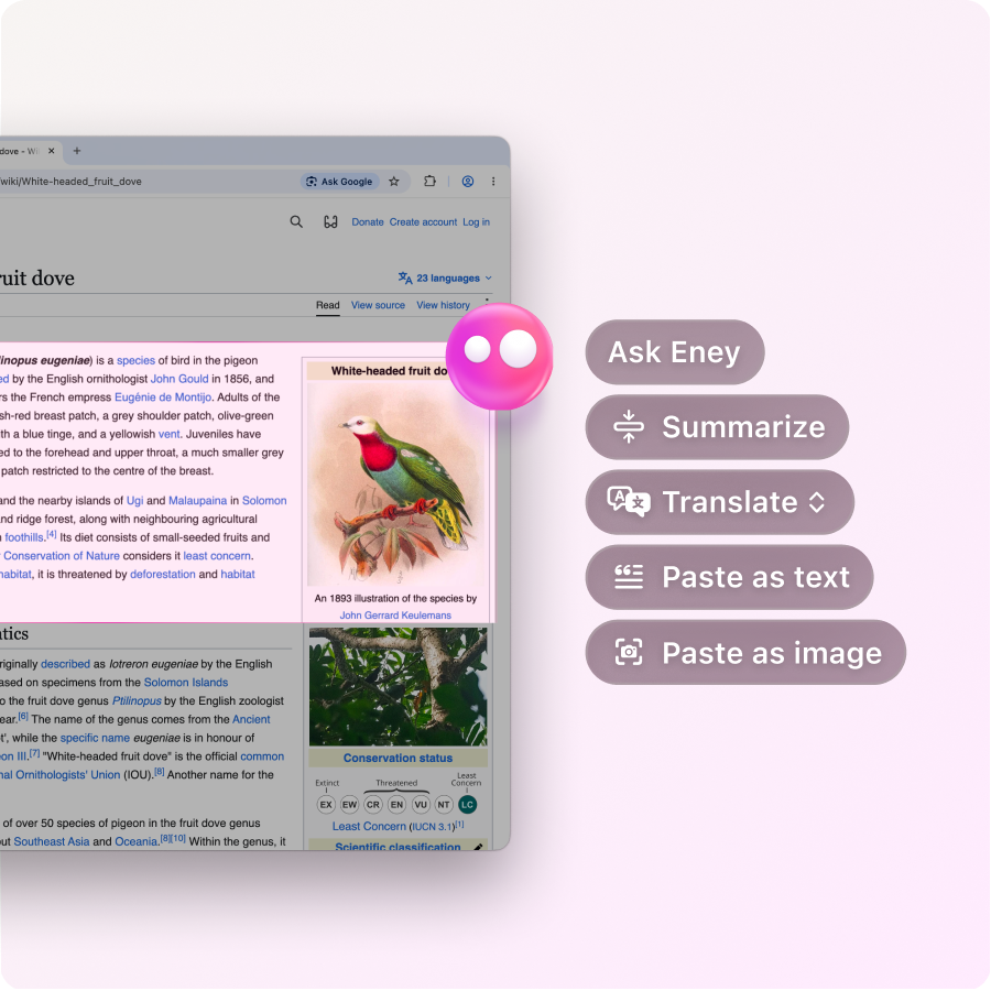 Eney Wand summarizes, translates, and extracts content from a Wikipedia page